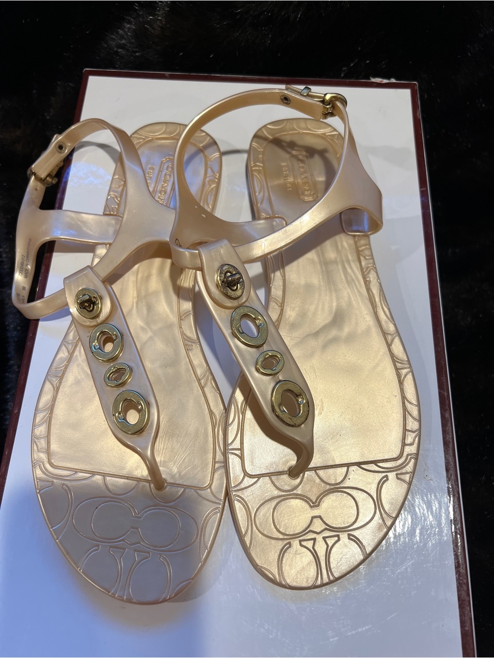 Coach Metallic Gold Jelly T-Strap Sandals with Logo Detail